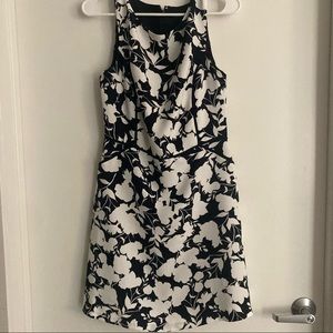 The Limited Navy and White dress. Size 4.